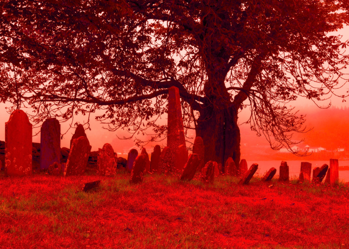 RedLandscapeWithTreesandGravemarkers during Halloween