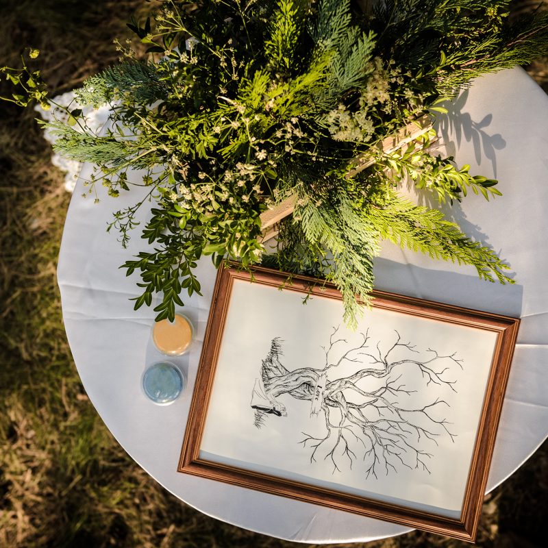 wedding ceremony in the woods among the trees on the green track